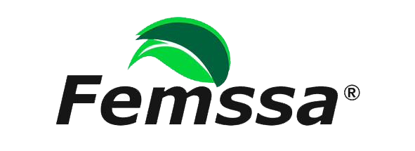 Empresa 11
