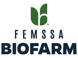 Empresa 12